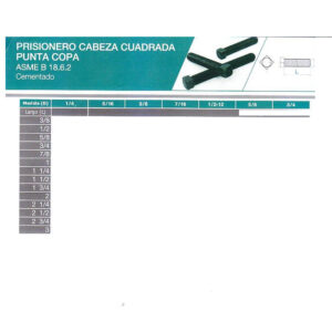 Prisioneros cabeza cuadrada punta copa