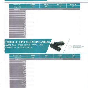 Tipo allen sin cabeza